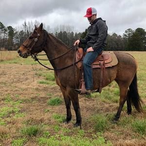 Meet your Posher, Drew